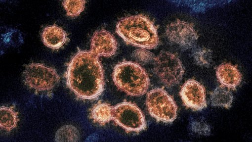 Covid-19: Estirpe detetada na África do Sul aumenta imunidade a outras variantes - estudo
