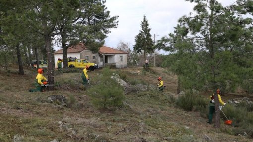 Incêndios: Governo prevê prolongar prazo para limpeza de terrenos pelos proprietários até 15 de maio