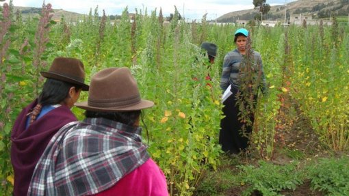 Mulheres sofrem maior desnutrição que os homens na América Latina – FAO