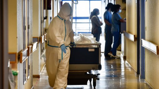 Covid-19/Um ano: Um único caso de gripe ajudou Hospital de Viseu no combate à pandemia
