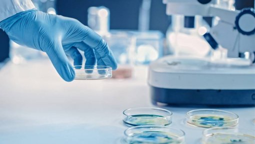 Investigadores do Porto vão &quot;melhorar&quot; o diagnóstico precoce do cancro gástrico