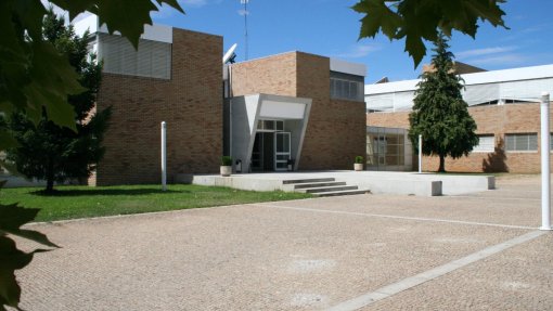 Estudantes do politécnico transformam voluntariado na Cruz Vermelha de Bragança