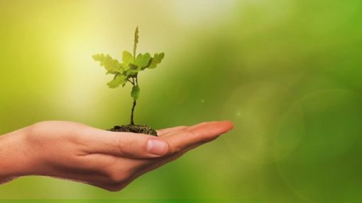 Município de Gouveia inaugura rota ambiental no Dia Mundial da Árvore