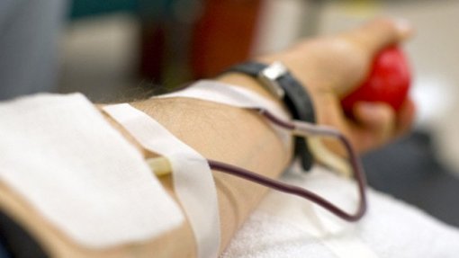 DGS clarifica norma sobre dadores de sangue com base no princípio da não-discriminação