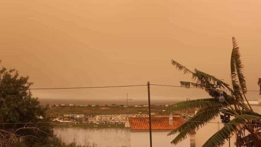 Crianças e idosos devem ficar em casa por causa das poeiras do Norte de África - DGS