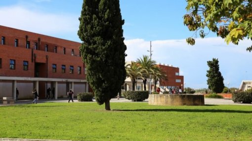 Covid-19: Universidade de Aveiro inicia na terça-feira testagem na comunidade académica