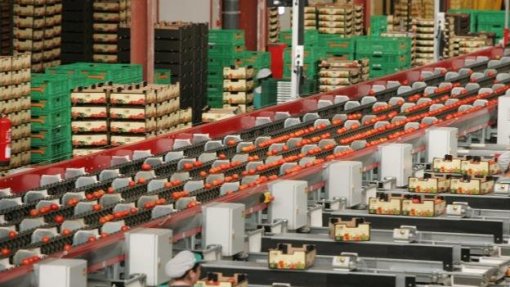 Covid-19: Odemira arranca com 4.000 testes nas empresas hortofrutícolas