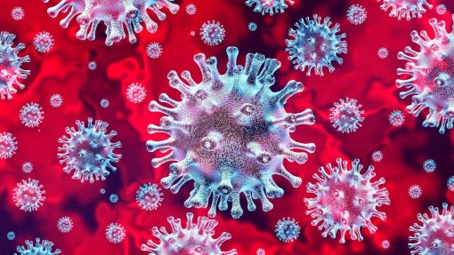 Covid-19: Cientistas descobrem possível nova estirpe do vírus no Brasil