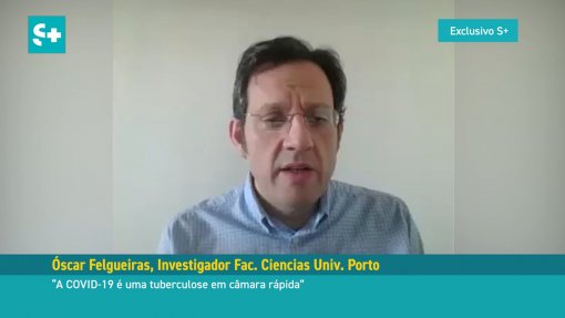 Covid-19: Matemático Óscar Felgueiras defende criação do indicador “incidência vizinha&quot;