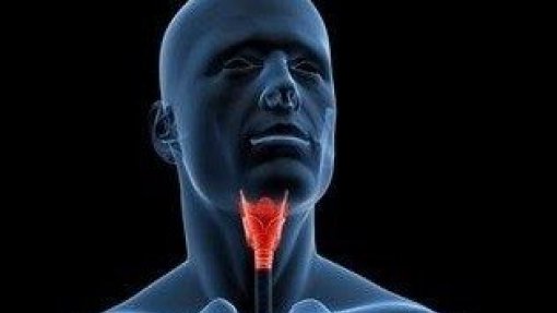 Centro Hospitalar do Baixo Vouga estende rastreio do cancro da laringe