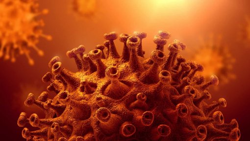 Covid-19: OMS está a acompanhar a nova variante do vírus identificada na Índia