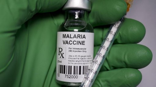 São Tomé e Príncipe entre os oito novos países com potencial para eliminar malária até 2025