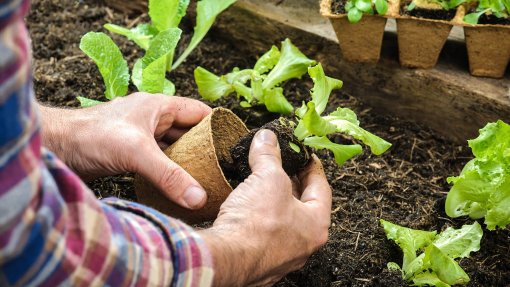 Projeto de inclusão de Gaia cria Quinta da Felicidade para jovens com deficiência