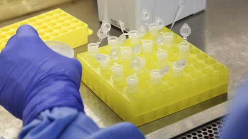 Covid-19: Grécia vai participar em ensaio clínico de medicamento israelita