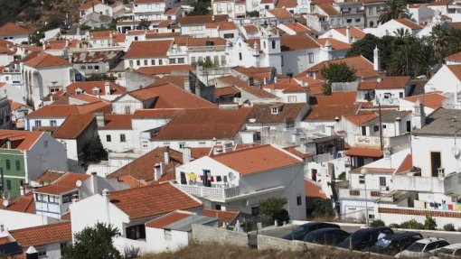 Covid-19: SOS Racismo pede combate por direitos humanos e contra estigmatização em Odemira