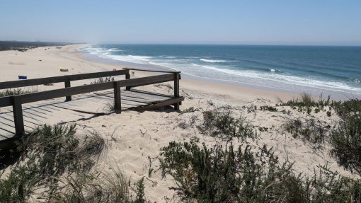 Transposição de areias para tratar erosão a sul da Figueira da Foz só em 2023