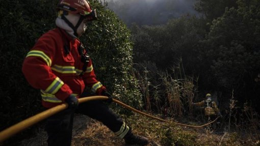 Incêndios: Distrito de Viseu mantém dispositivo