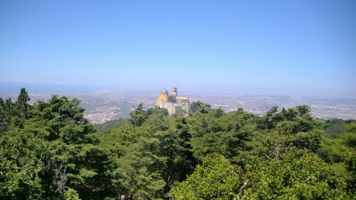 Gestora do Parque Natural Sintra-Cascais com apoio de 400 mil euros para conservação