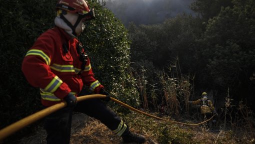 Concelho de Portimão no distrito de Faro em risco máximo de incêndio