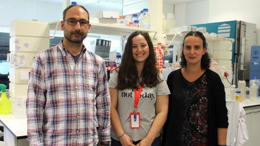 Cientistas de Coimbra descobrem novo mecanismo da infeção pela bactéria Salmonella