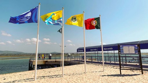 Covid-19: Quercus destaca aumento de praias com &quot;Qualidade de Ouro&quot; em ano de pandemia