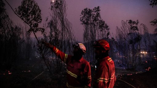 Investigadores estudam impacto da exposição a poluentes na saúde de 250 bombeiros