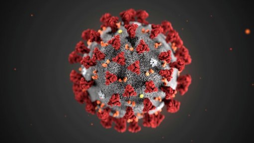 Covid-19: Pandemia já matou 3,84 milhões de pessoas no mundo
