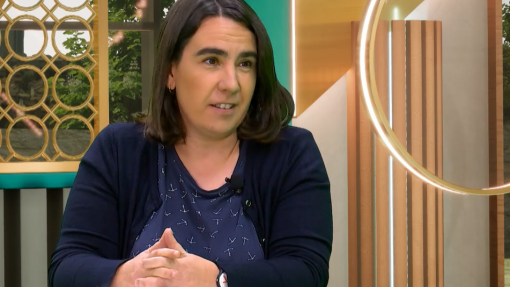 Covid-19: Investigadores portugueses estudam potencial vacina oral