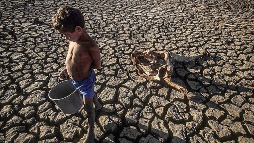 Pandemia dificultou ainda mais meta global de erradicar fome até 2030 – ONU