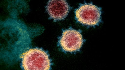 Covid-19: Pandemia matou pelo menos 4,06 milhões de pessoas em todo o mundo