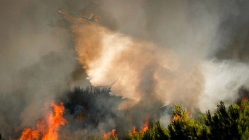 Cerca de 50 concelhos do interior Norte, Centro e Algarve em risco máximo de incêndio