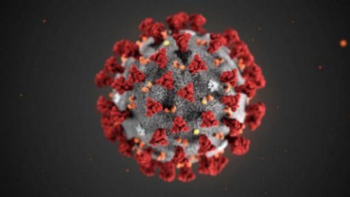 Covid-19: Pandemia já matou pelo menos 4,09 milhões de pessoas no mundo