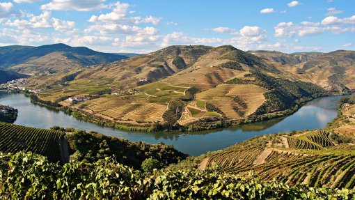 Douro tem de explorar &quot;mercados emergentes&quot; na área da saúde e turismo - especialista