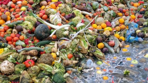 Cerca de 40% dos alimentos cultivados não são consumidos - WWF
