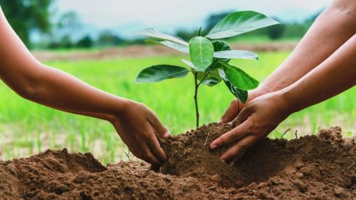 Redução em 50% na pegada de carbono pode adiar em 93 dias crédito ambiental do planeta - Zero