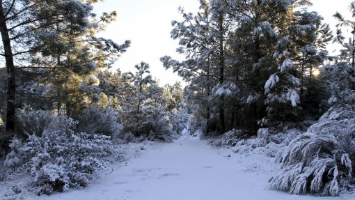 Serra da Gardunha com Área Integrada de Gestão de Paisagem para proteger biodiversidade