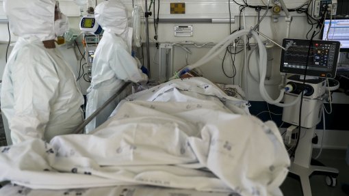 Covid-19: Descoberto mecanismo que pode explicar maior ou menor gravidade da infeção