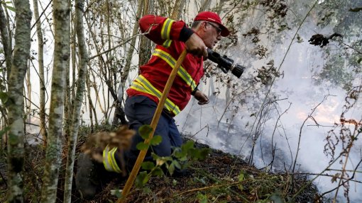 Mais de 160 operacionais e oito meios aéreos combatem fogo em Loulé