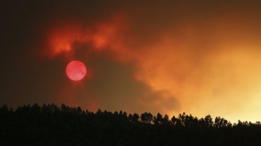 Incêndios: Cerca de 40 concelhos no interior Norte e Centro e do Algarve em risco máximo
