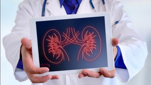 Madeira encaminha 600 utentes por ano para unidades hospitalares no continente