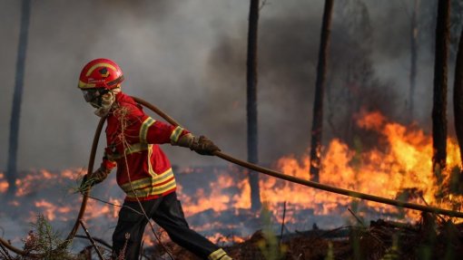 Mais de 170 bombeiros combatem dois incêndios em Loulé