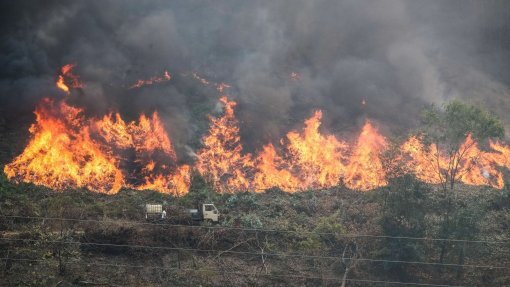 16 concelhos do interior Norte e Centro e do Algarve em risco máximo de incêndio
