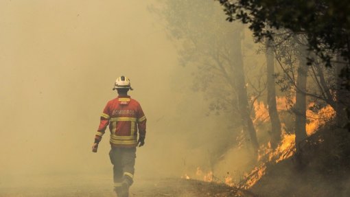 Incêndios: A1 cortada nos dois sentidos entre os nós de Pombal e Soure