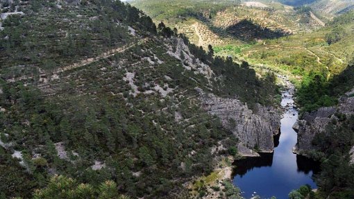 Agência Portuguesa do Ambiente fiscaliza água do Ocreza em Proença-a-Nova
