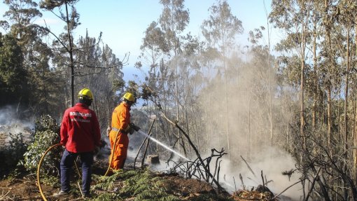 Todo o dispositivo da Proteção Civil em alerta permanente na Madeira