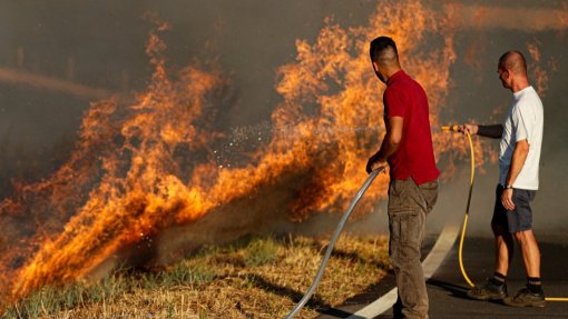 Fogo do Algarve obrigou a retirar de casa 81 pessoas e a evacuar canil