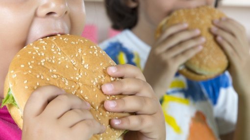 Fim das sandes de chouriço, hambúrgueres e pizzas nos bares das escolas