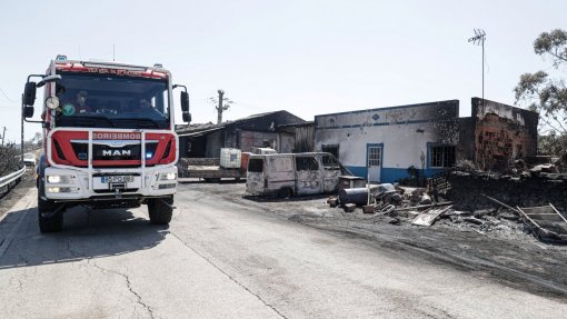 Incêndios/Algarve: Fogo que começou em Castro Marim foi dominado - Proteção Civil