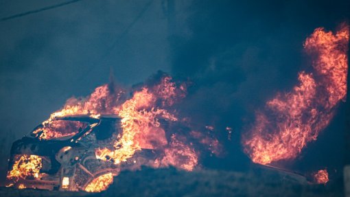 ICNF abre inquérito à morte de animais em abrigo ilegal no incêndio em Castro Marim