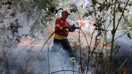 Fogo em Odemira combatido por quase 180 operacionais e 11 meios aéreos